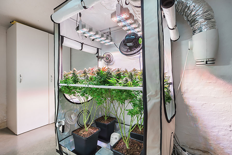 CO2 Generators For Growing Weed