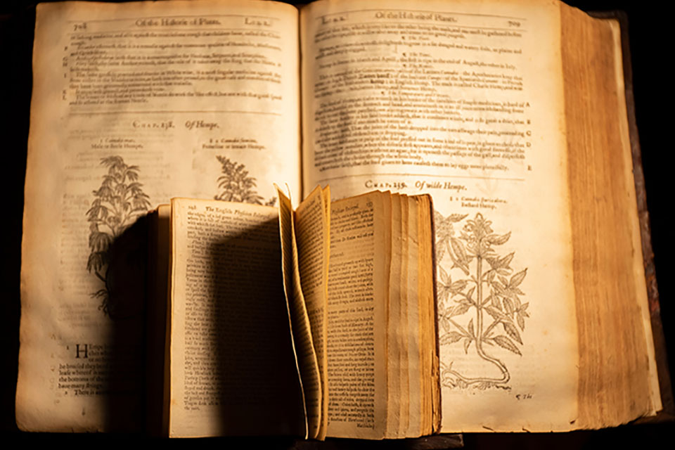 Cannabis Culture 101 - First Use Of Cannabis in History