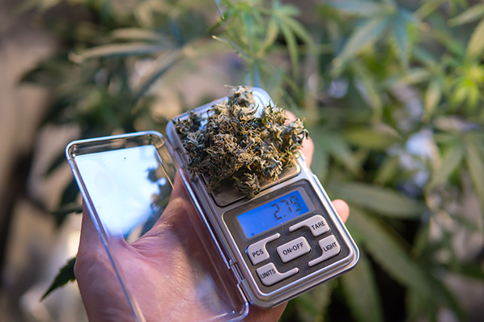 Gram, Eighth, Quarter, Ounce: Understanding Weed Weights