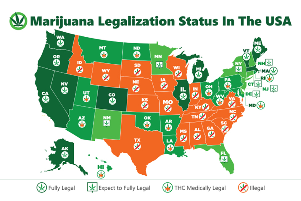 How to Research the Legal Requirements for Growing Weed Plants in Your State