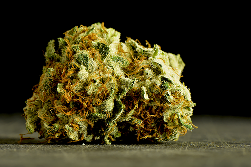 Should You Freeze Your Cannabis Buds