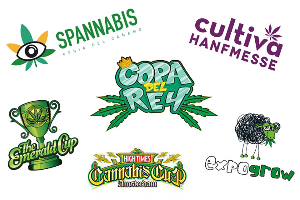 Top 10 Cannabis Competitions Internationally