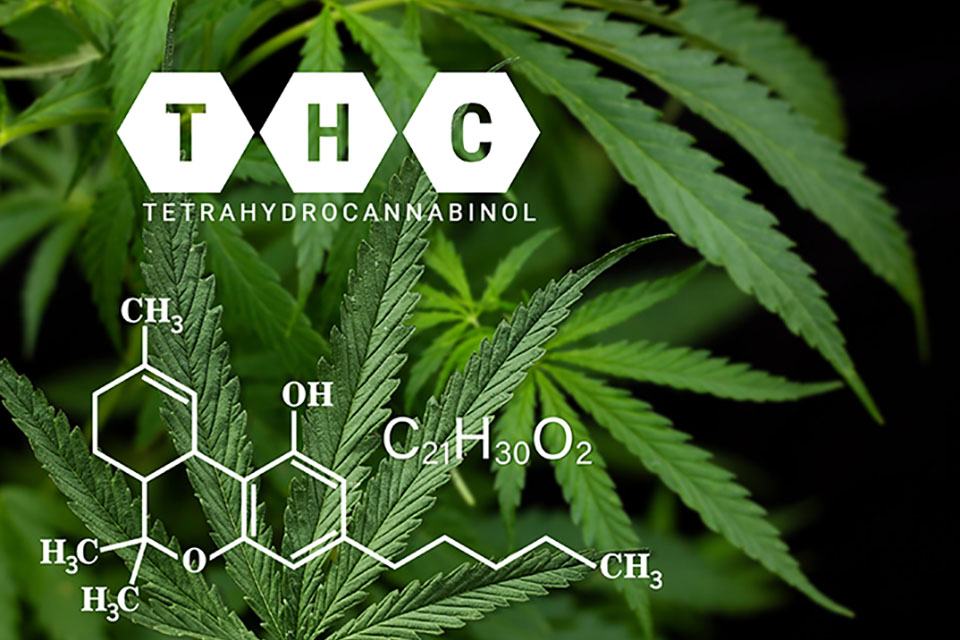 What is THC and How It Affects You