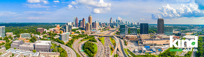 state page main image