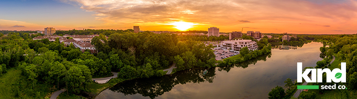 state page main image