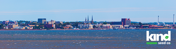 state page main image