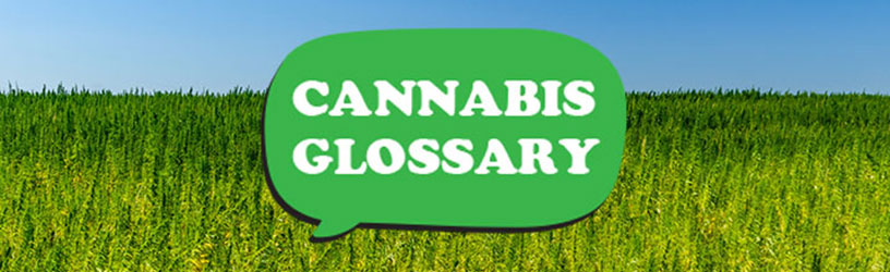 What is a nectar collector?, Cannabis Glossary