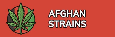Afghan Strains