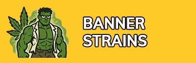 Banner Strains