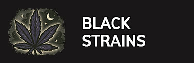 Black Strains