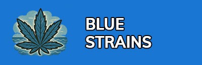 Blue Strains
