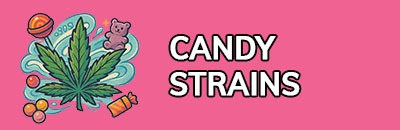 Candy Strains