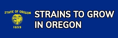 Strains to Grow In Oregon