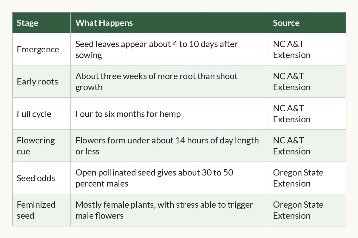 Table graphic of Cannabis Life Cycle at a Glance for cannabis growers, 6 rows by 3 columns