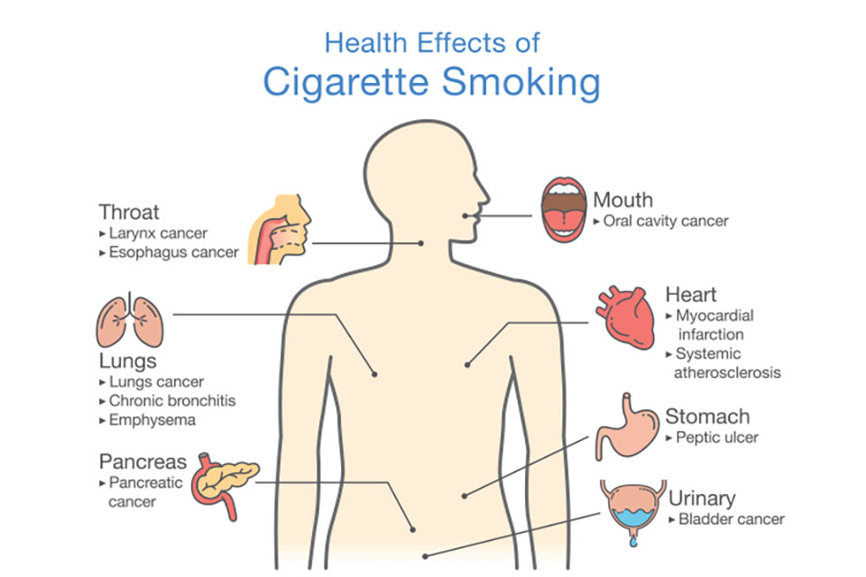 The Need for Tobacco Replacements