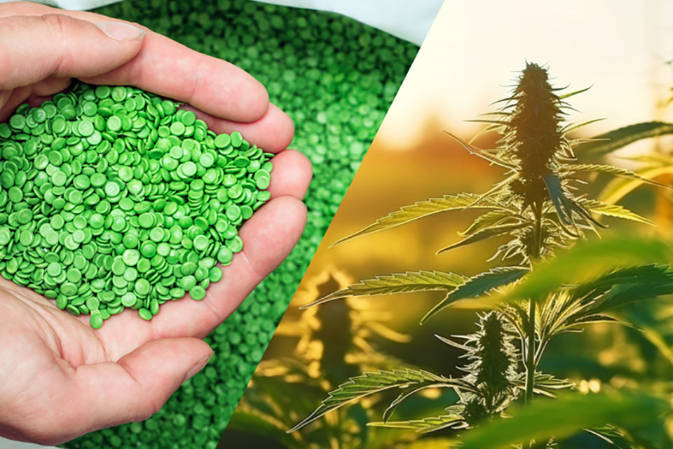 Hemp Plastic - What Is It and How Is It Made