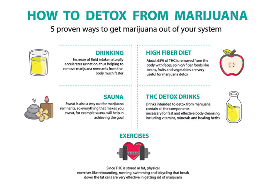 How to Eliminate THC From Your System - A Complete Guide