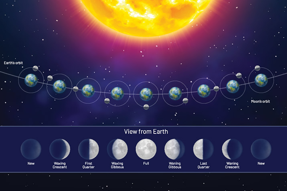 How to Grow Cannabis by the Moon Cycle in 2024
