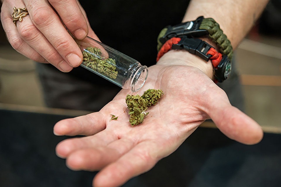 Top 10 Tips for Curing and Storing Cannabis Flowers