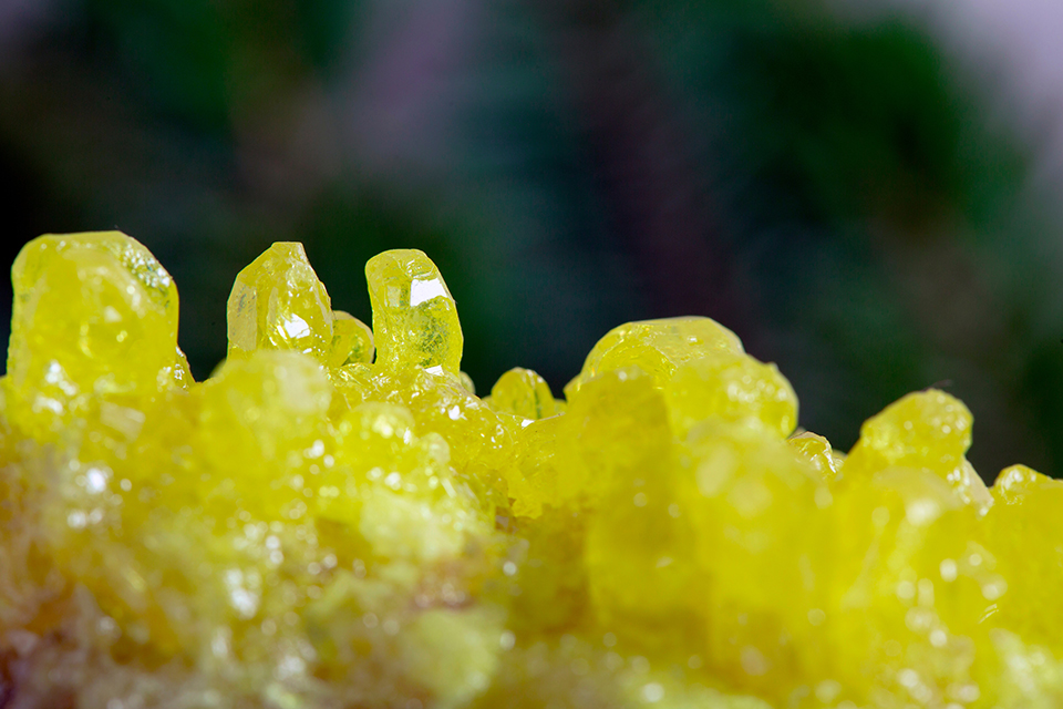 Why Is Sulphur So Important for Cannabis Plants