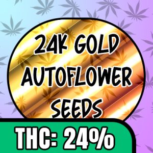 24K Gold Auto Fem-1413