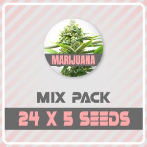 120 Regular Mix Pack-0