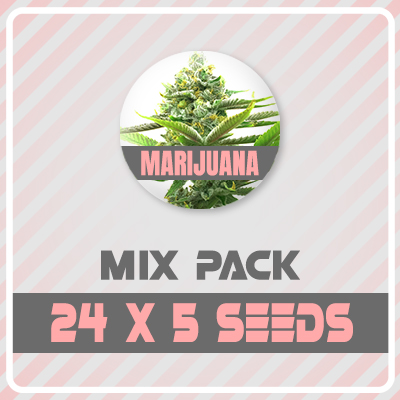 120 Regular Mix Pack-0