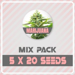 100 Regular Mixed Pack-0