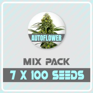 700 Autoflower Mixed Pack-0