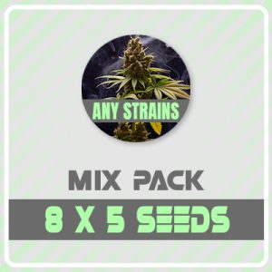 40 Any Strains Mixed Pack-0
