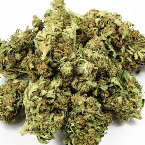 CBD ACDC Photo Fem-3745