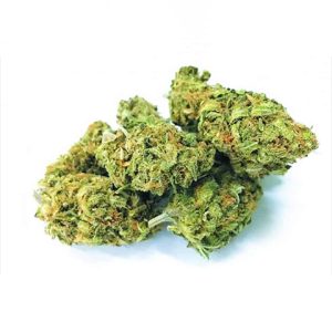CBD ACDC Photo Fem-4233