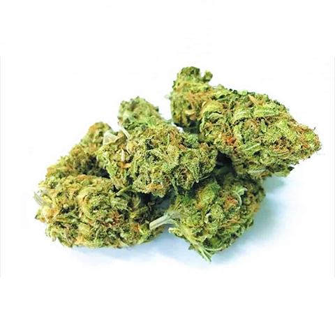 CBD ACDC Photo Fem-4233