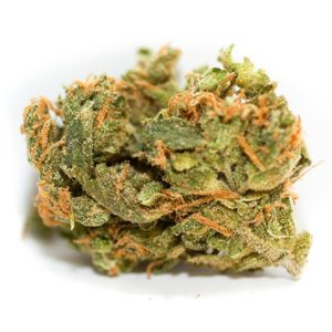 AK47 Auto Fem-2875