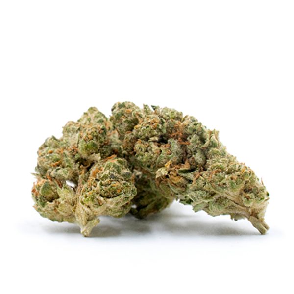 AK47 Fast Photo Fem-0