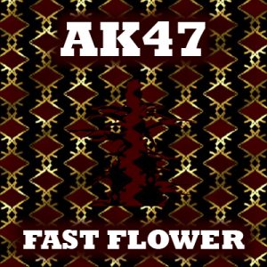 AK47 Fast Photo Fem-3971