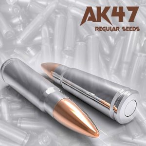 AK47 Photo Reg-2727
