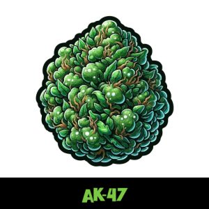 AK47 Photo Reg-2726