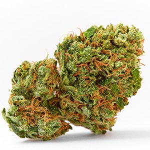 AK47 Photo Fem-2797