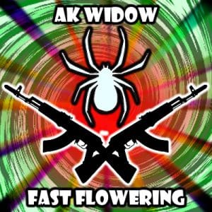 AK Widow Fast Photo Fem-3972