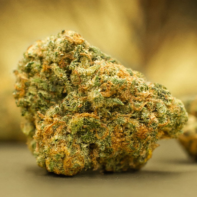 Acapulco Gold Auto Fem-3148