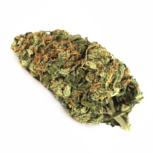 Acapulco Gold Photo Fem-3412