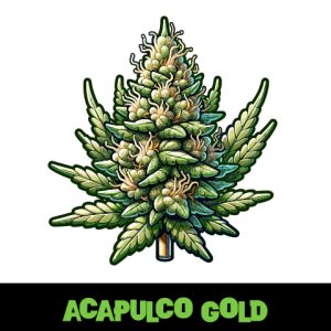 Acapulco Gold Photo Fem-4077