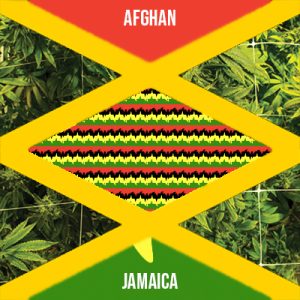 Afghan Jamaica Photo Fem-1785