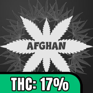 Afghan Photo Fem-3957
