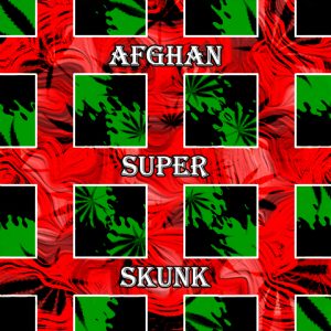 Afghan Super Skunk Photo Fem-3947