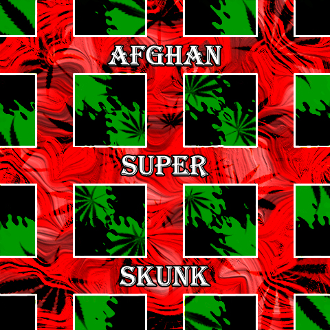 Afghan Super Skunk Photo Fem-3947
