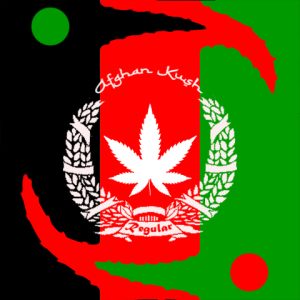 Afghan Kush Photo Reg-2607