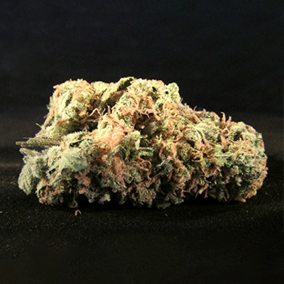 Afghani Haze Photo Fem-1793