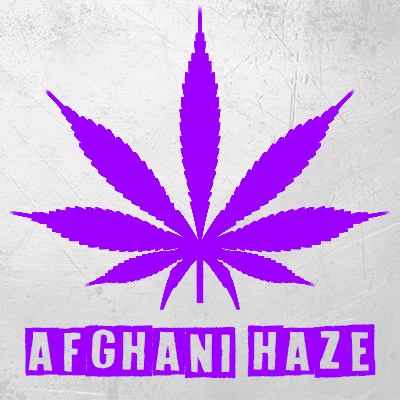 Afghani Haze Photo Fem-1795
